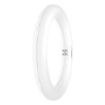 Osram Rura LED T9 Okólnik (EM/Mains) 11W 1320lm - 865 Światło Dzienne | Zamienne 22W