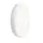 Philips LED Bulkhead CoreLine WL200V Valkoinen 13W 500lm - 830-840 CCT | 220mm - IP65