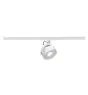 SLV Tracklight Kalu 1-Fazowy Aluminium Valkoinen 13W 970lm 95D - 830 Ciepła Biel | Ściemnianie 