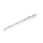 Philips Oprawy Hermetyczne LED Ledinaire WT065C 23/42W 2900/4800lm - 840 Zimna Biel | 120cm - Poprzez Przewód
